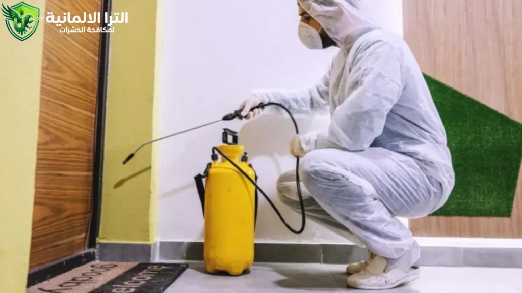تخلص من كثرة النمل في البيت فجأة مع الشركة الألمانية 01003339330