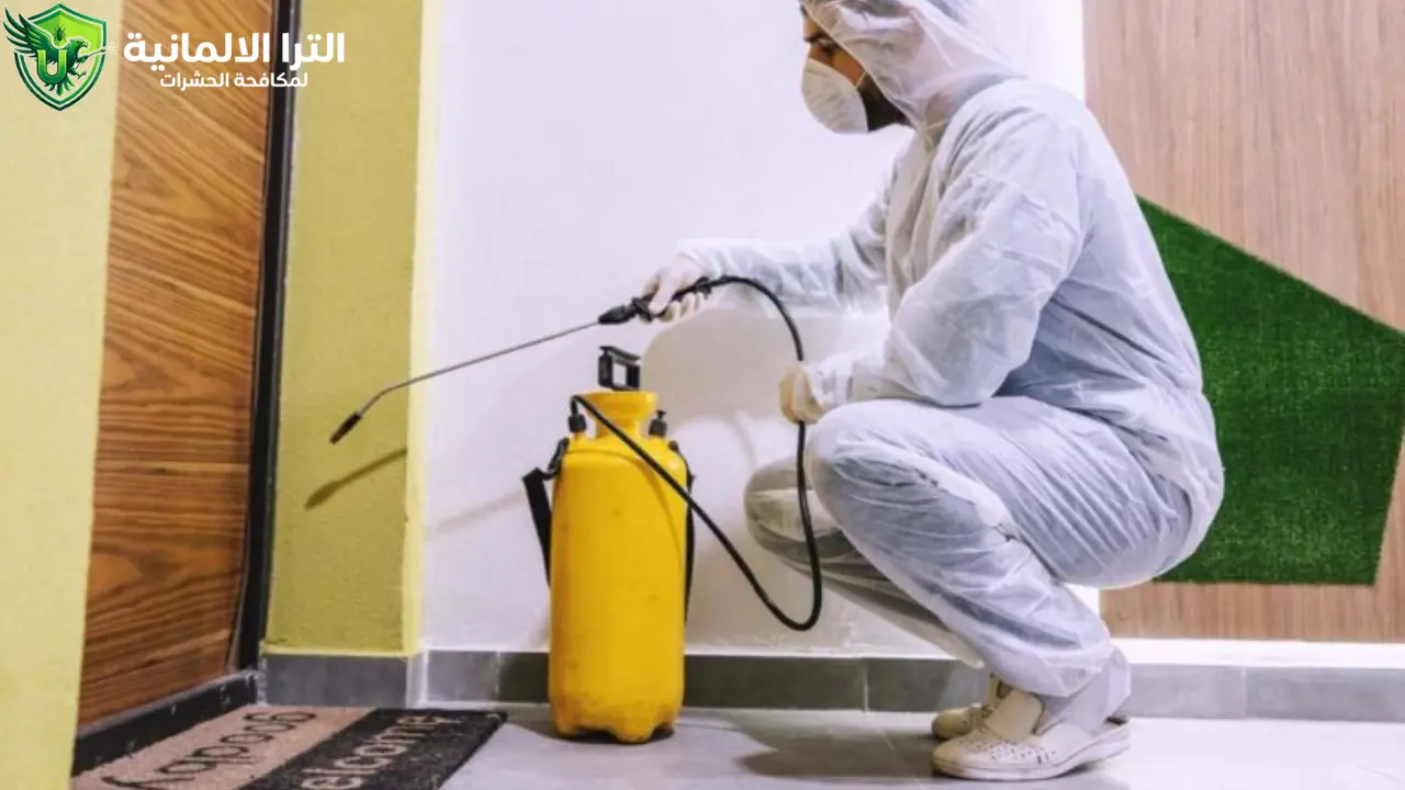 تخلص من كثرة النمل في البيت فجأة مع الشركة الألمانية 01003339330